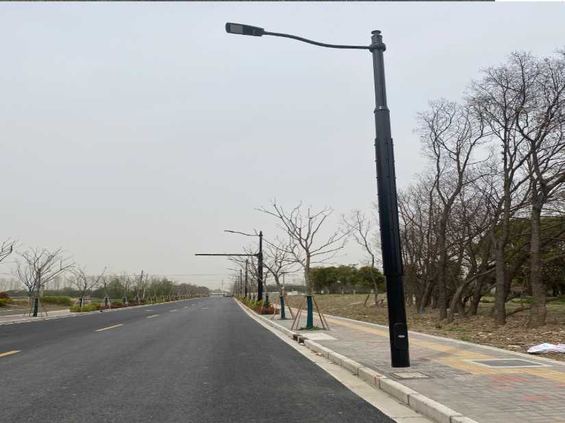 自流井区上海综合杆 太阳能路灯工程